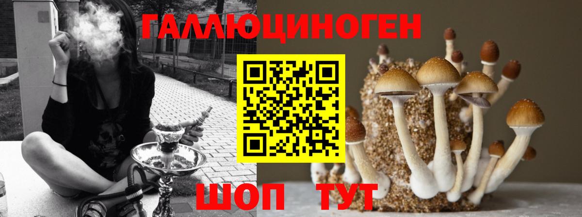Галлюциногенные грибы GOLDEN TEACHER Можайск
